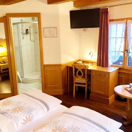 Hotel Alpina 3*