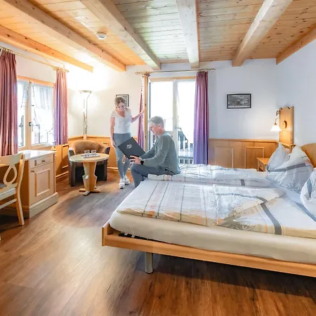 Hotel Alpina 3*