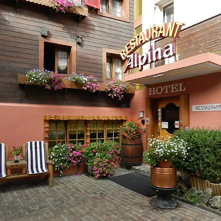Hotel Alpina 3*